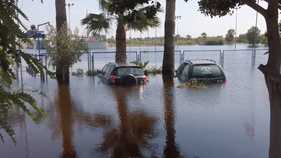 ФОТО: Кадр из программы "Загадки человечества", РЕН ТВ