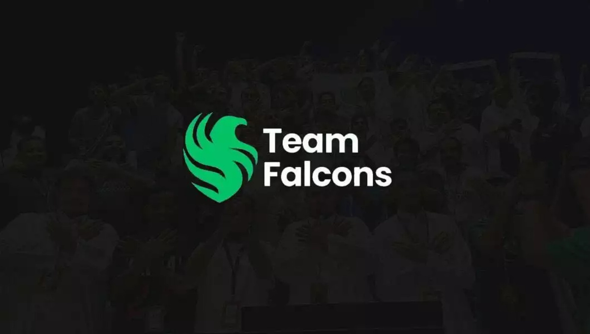 Источник: официальный сайт Team Falcons