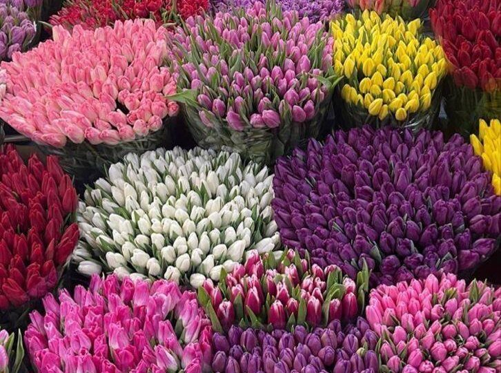 Ваша идеальная весна начинается здесь: Открываем предзаказ к 8 марта