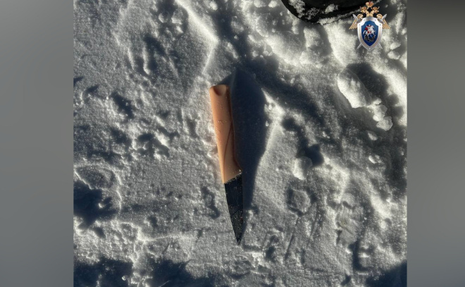    © Пресс-служба СУ СКР по Ленинградской области