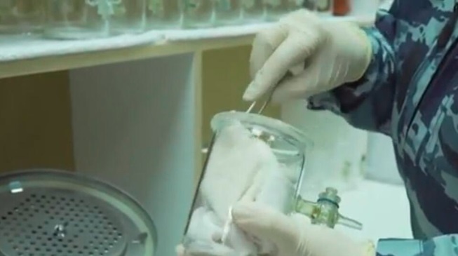 Фото: скриншот