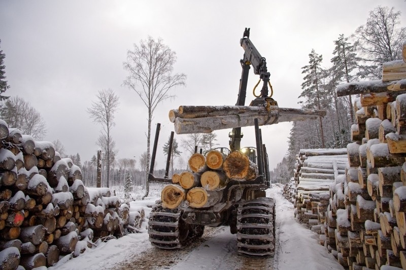    фото: Минприроды РК/https://vk.com/karjalan_luonto