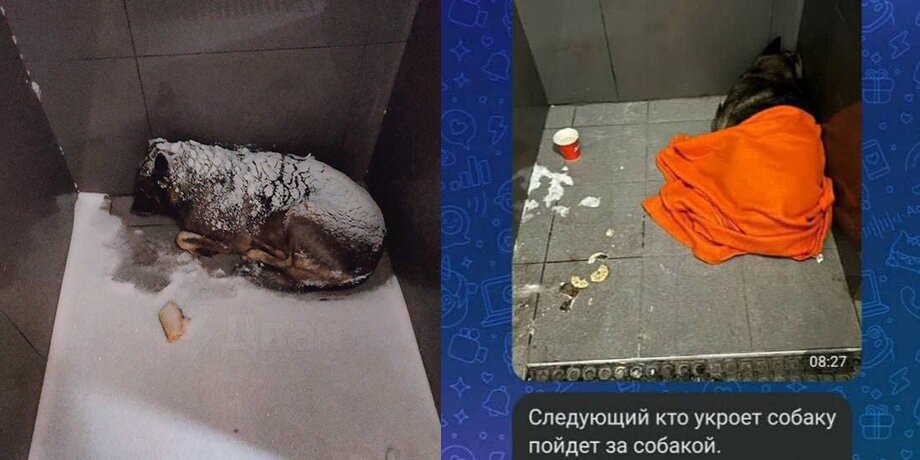    Фото: телеграм-канал "Москва 24"