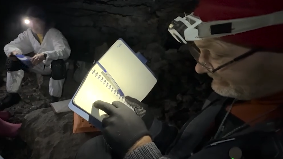 ФОТО: Кадр из программы "Как устроен мир", РЕН ТВ