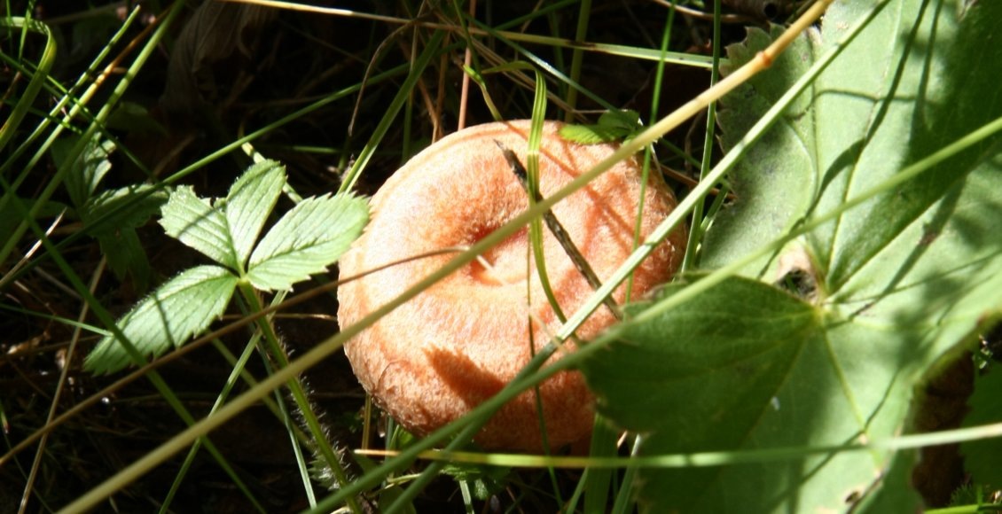    Фото: НИА "Экология"