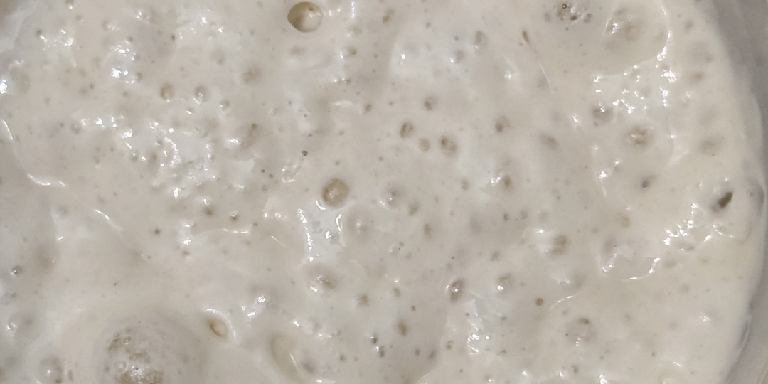 Мои опыты с четырьмя популярными заквасками: плюсы и минусы разных условий содержания