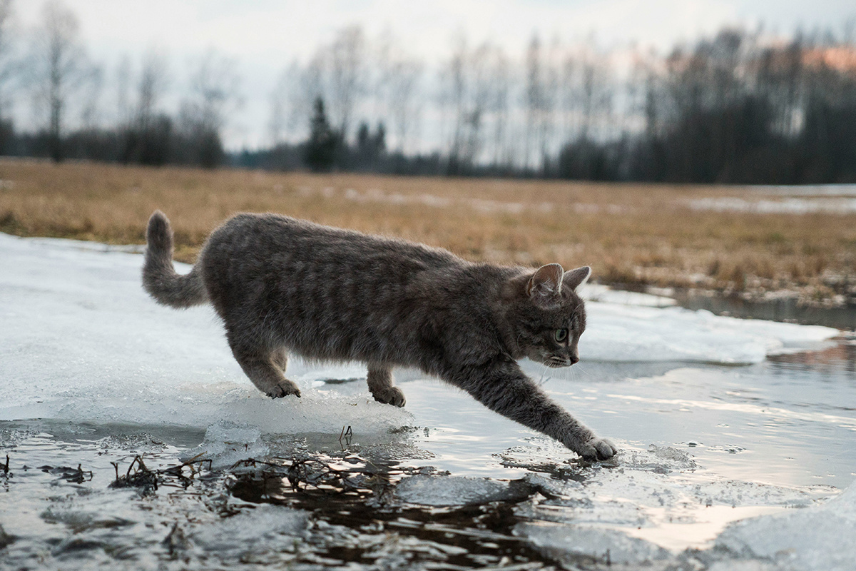    Изображение носит иллюстративный характер. Фото: Ансплэш Степана / Unsplash.com