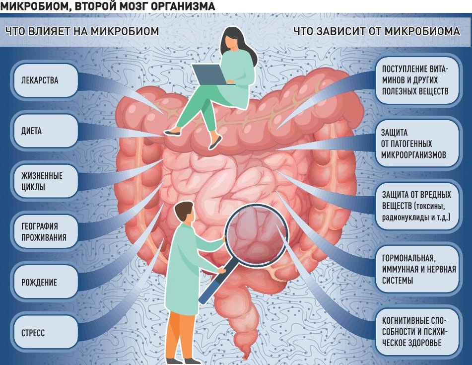     Инфографика "РГ" / Леонид Кулешов / Юрий Медведев