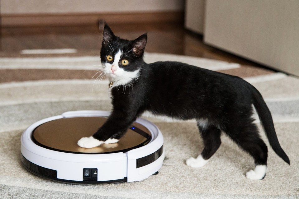    7000 роботов-пылесосов в 24 странах были взломаны. Фото: stocker193/Shutterstock/Fotodom