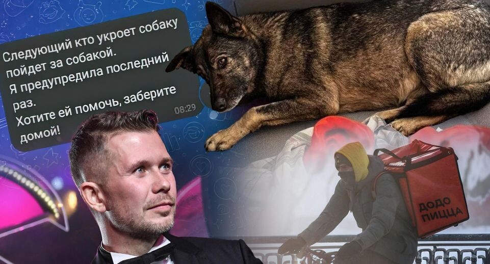    Соцсети, РИА Новости