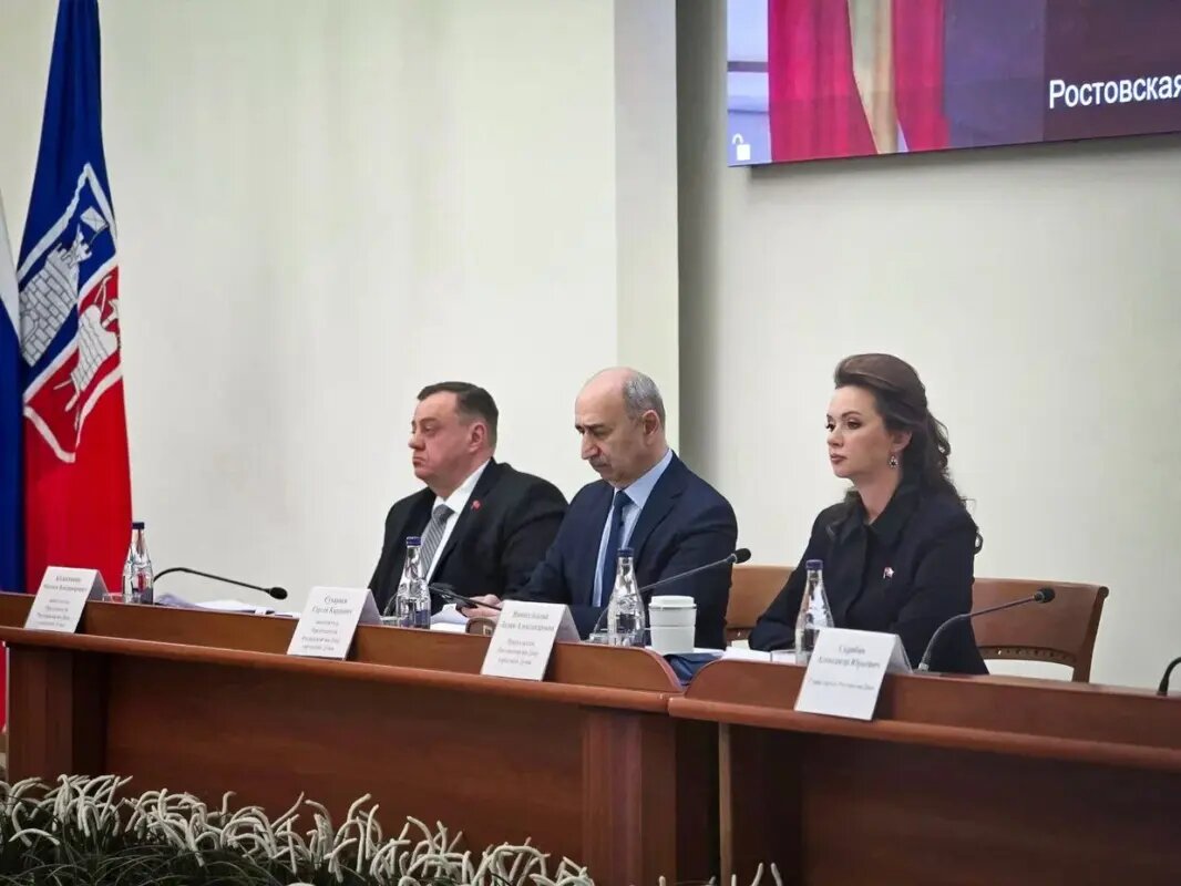    Депутаты Ростовской-на-Дону городской Думы узнали, как реализовывалась муниципальная программа сохранения и развития культуры в городе //Фото: пресс-служба Гордумы Ростова-на-Дону