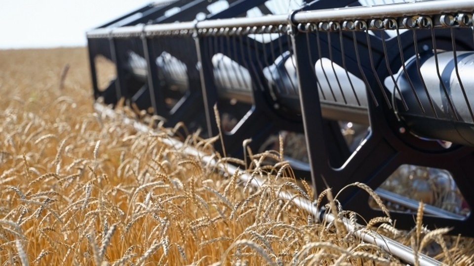 В Прикамье с нарушениями продавали более тысячи тонн зерна