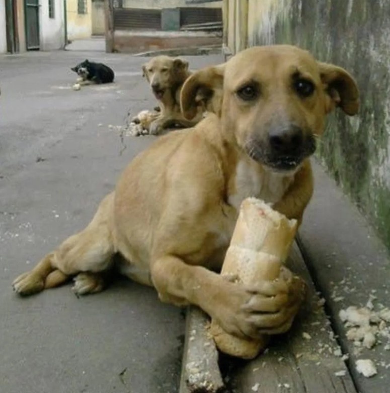 Главная героиня. Ну почти.