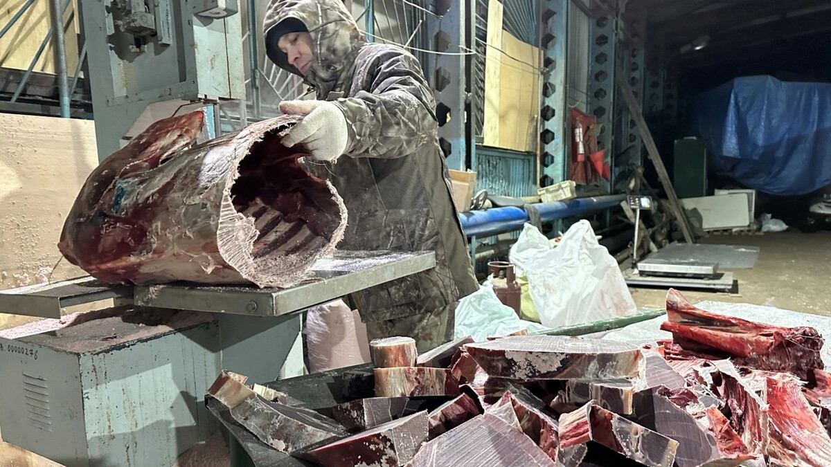    Фото: Андрей Ткачев/«Ямал-Медиа»