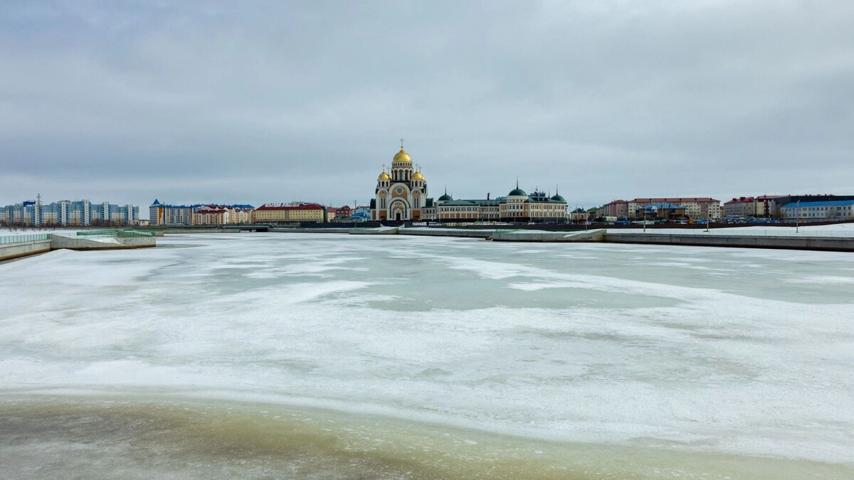    Фото: Федор Воронов/«Ямал-Медиа»