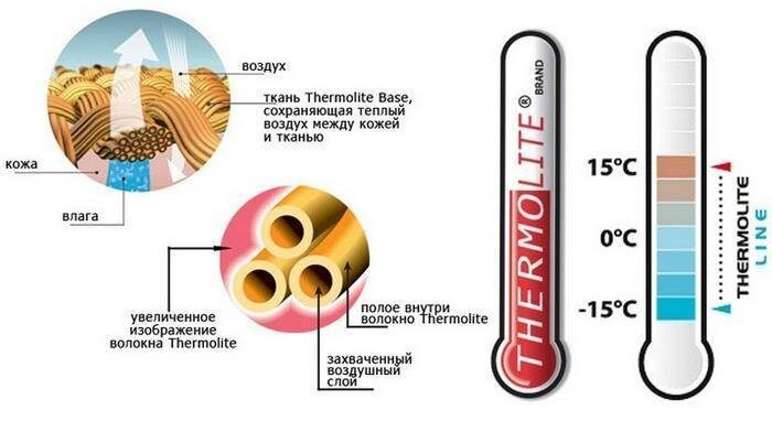 Thermolite®: когда белый медведь научил нас выживать в холоде