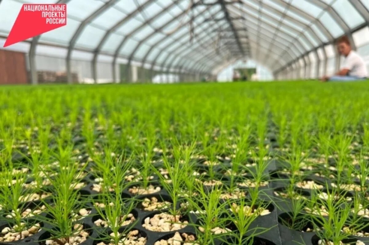    Более миллиона школьников России участвовали в онлайн-олимпиаде по экологии