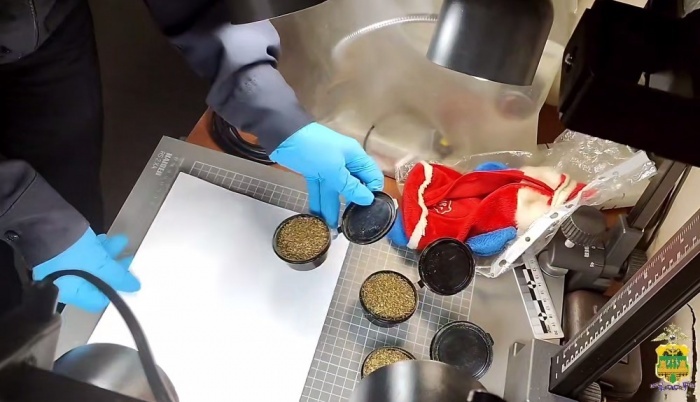    ГУ МВД России по Краснодарскому краю