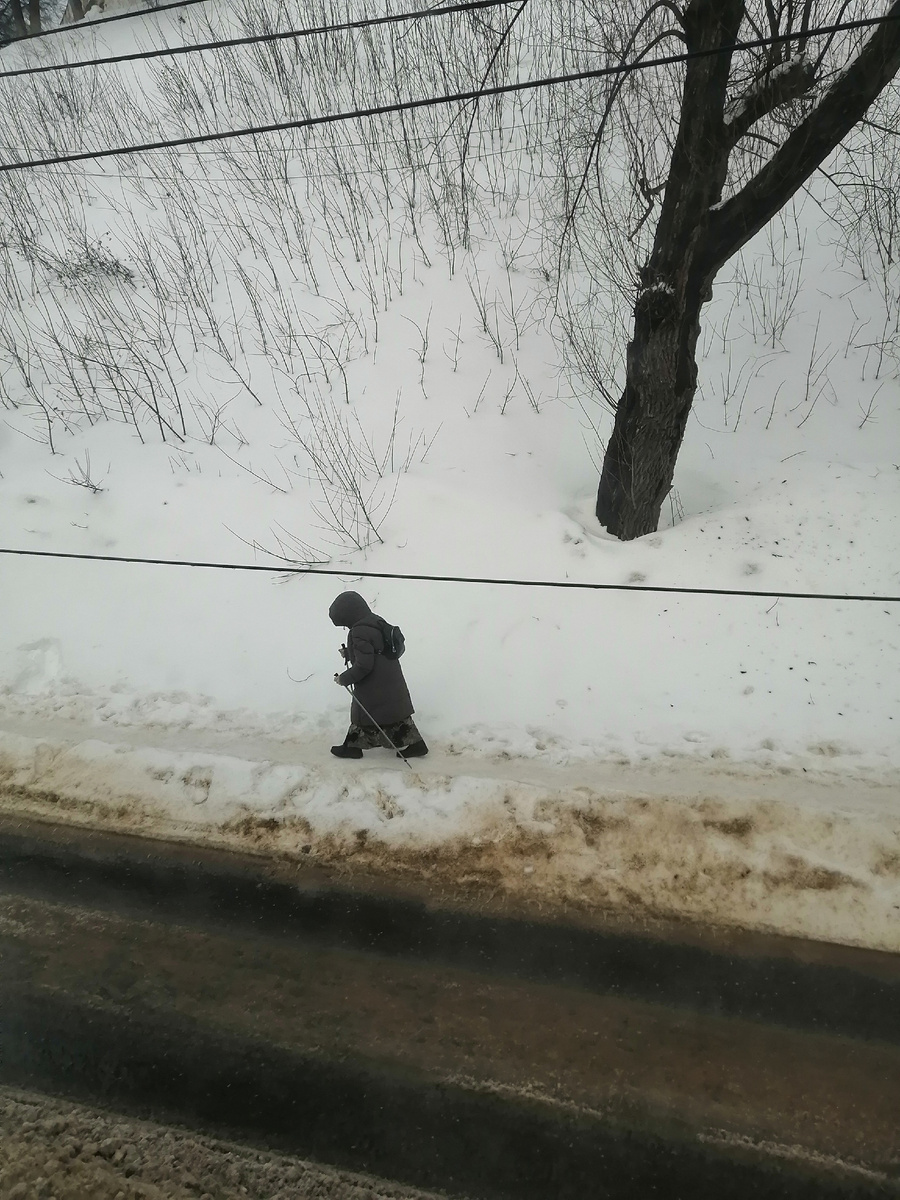 Сегодня. Вид из окна