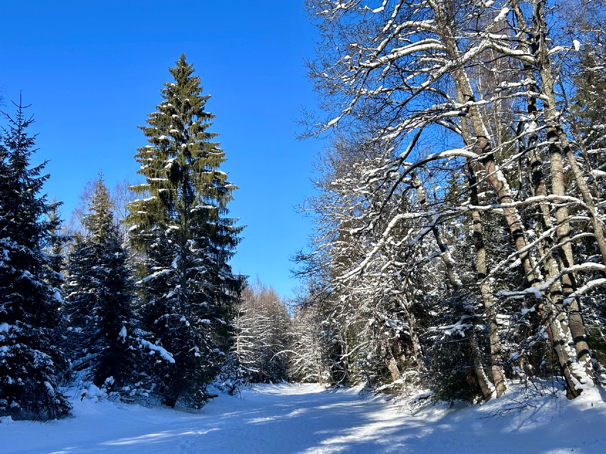 Русло речки Рощинки (Линдуловки).