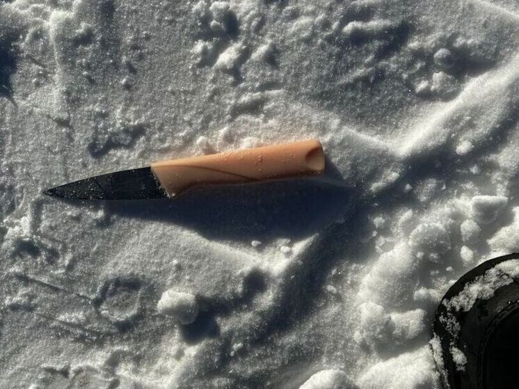     Фото: телеграм-канал следственного управления следственного комитета РФ по Ленобласти.