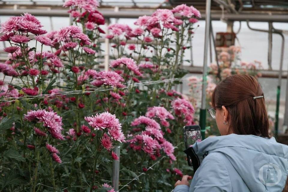    Фото: Дмитрий Рогулин / "Городские вести"