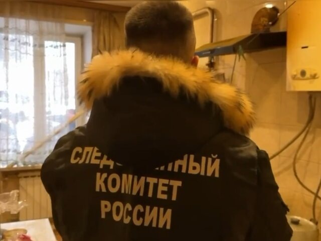    Фото: МАХ/"Следком"