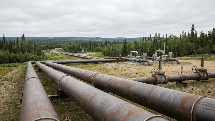   Сгенерировано с помощью ИИ