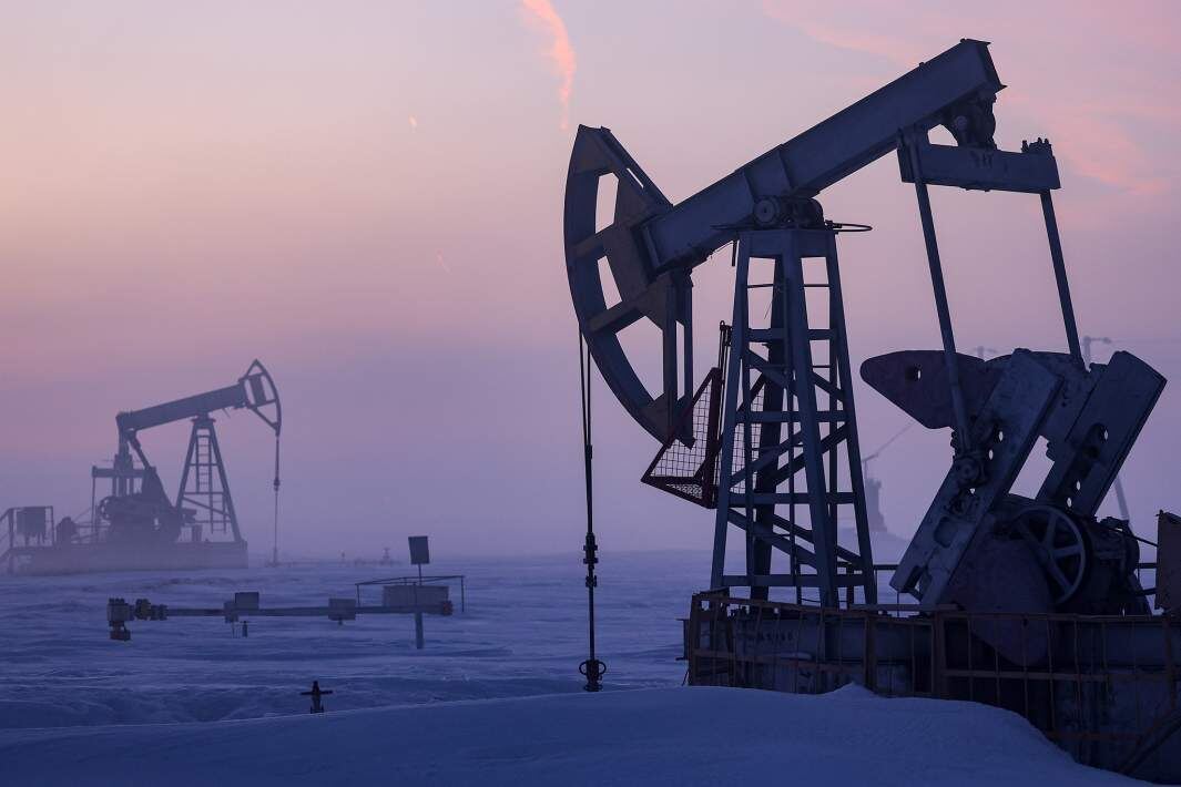 Фото: ТАСС/Егор Алеев