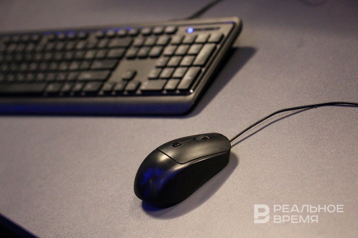   Артем Дергунов / realnoevremya.ru