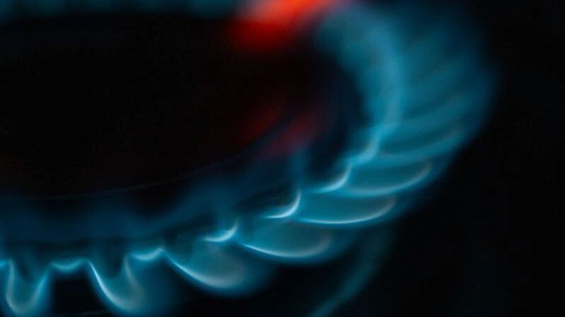    Фото: Сергей Зубков/«Ямал-Медиа»