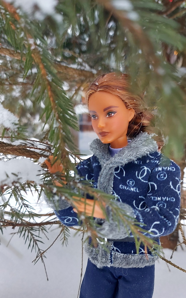 Карла Лукс#15 (Карли) . Фото автора канала.