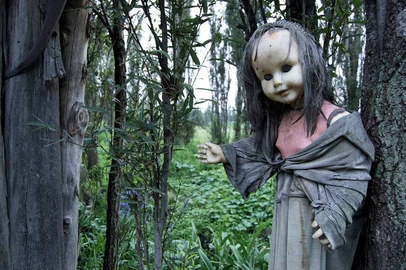 Фото с сайта Пятого канала