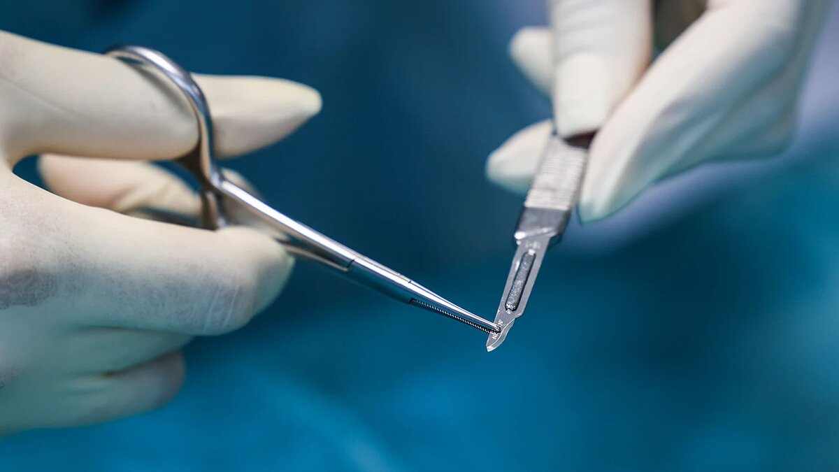   Oliver Berg / DPA / Picture Alliance / TASS- Архивное фото