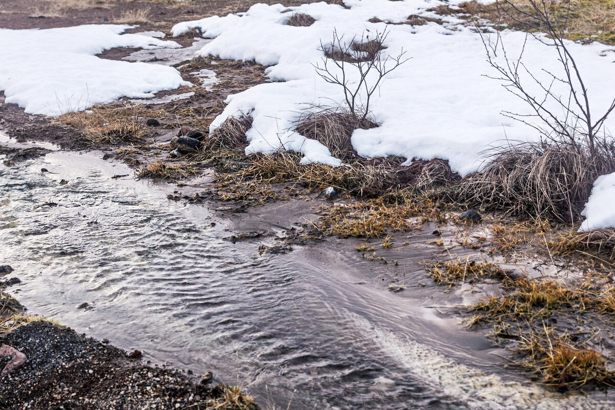    Оттепель 123RF/legion-media.ru