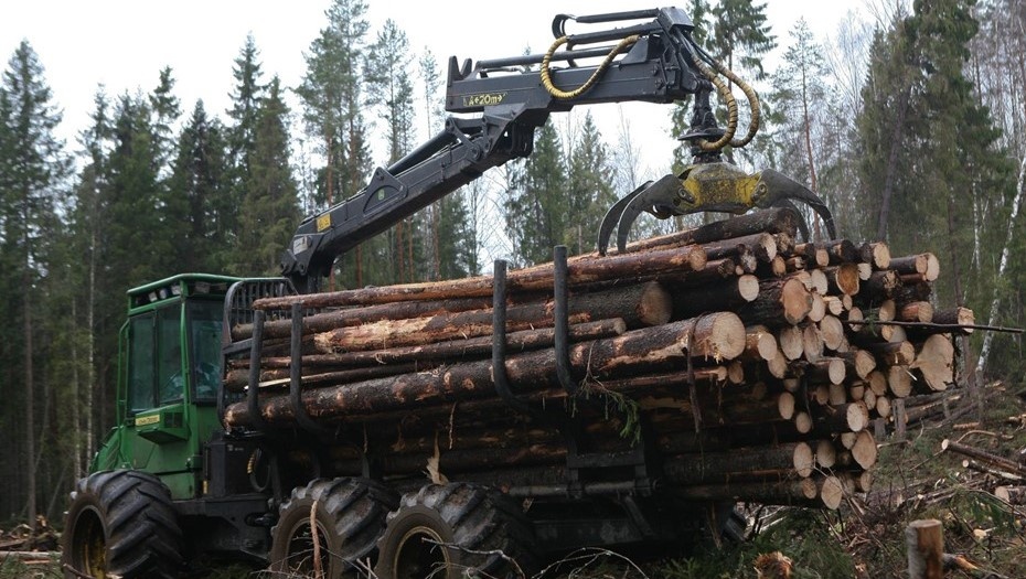 Автор фото: Андрей Фёдоров / Trend / Архив "ДП"