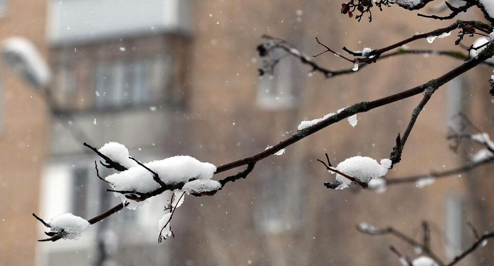    медиасток.рф