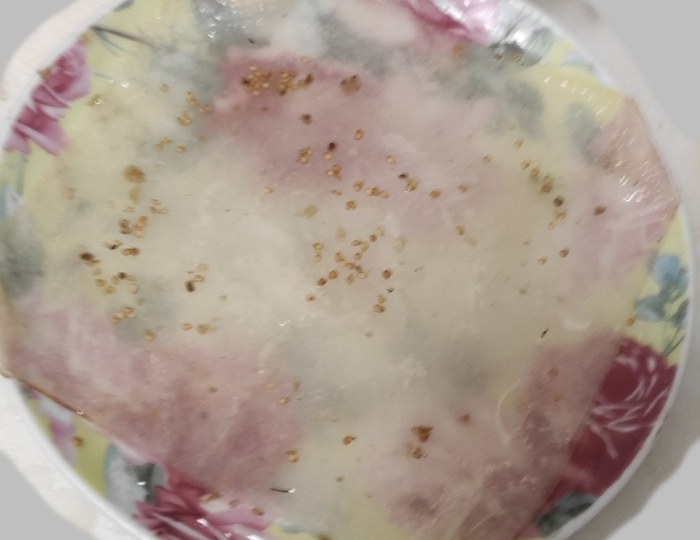 Посадил картошку в Подмосковье в феврале