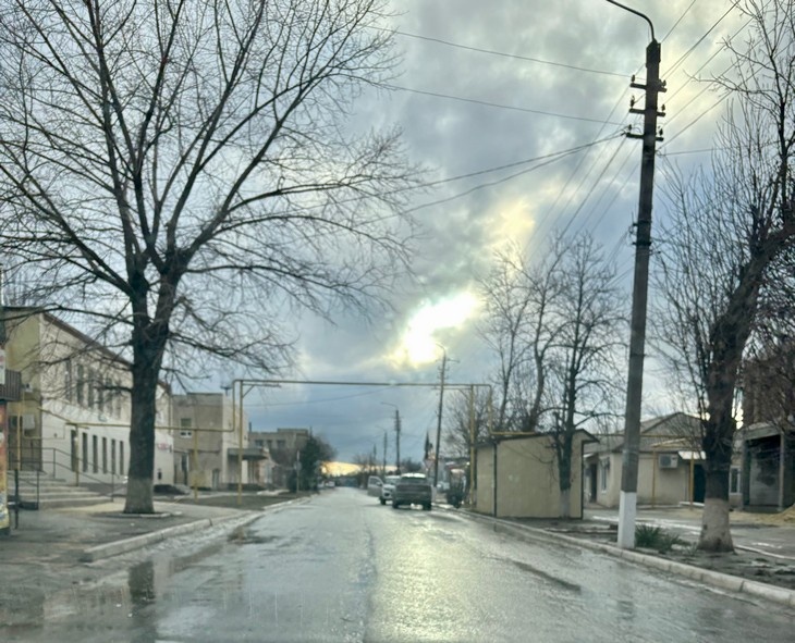    природа Редакция Газеты