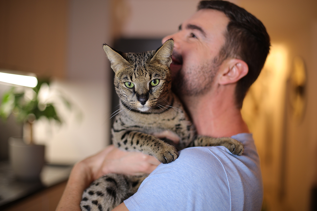 AJR_photo / Shutterstock / FOTODOM📷Цену питомца определяет маркировка поколения — буква F и цифра