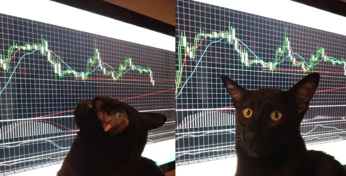 на страже неэффективностей