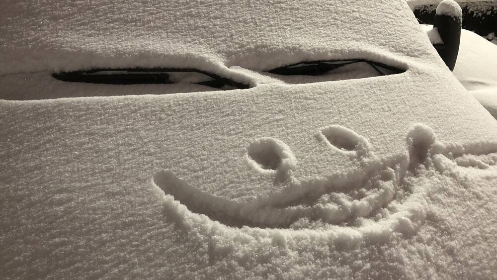    Фото: «Брянские новости»