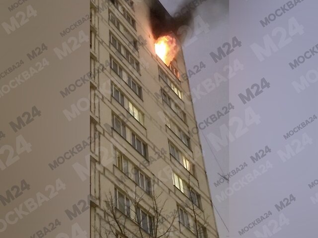    Фото: Москва 24