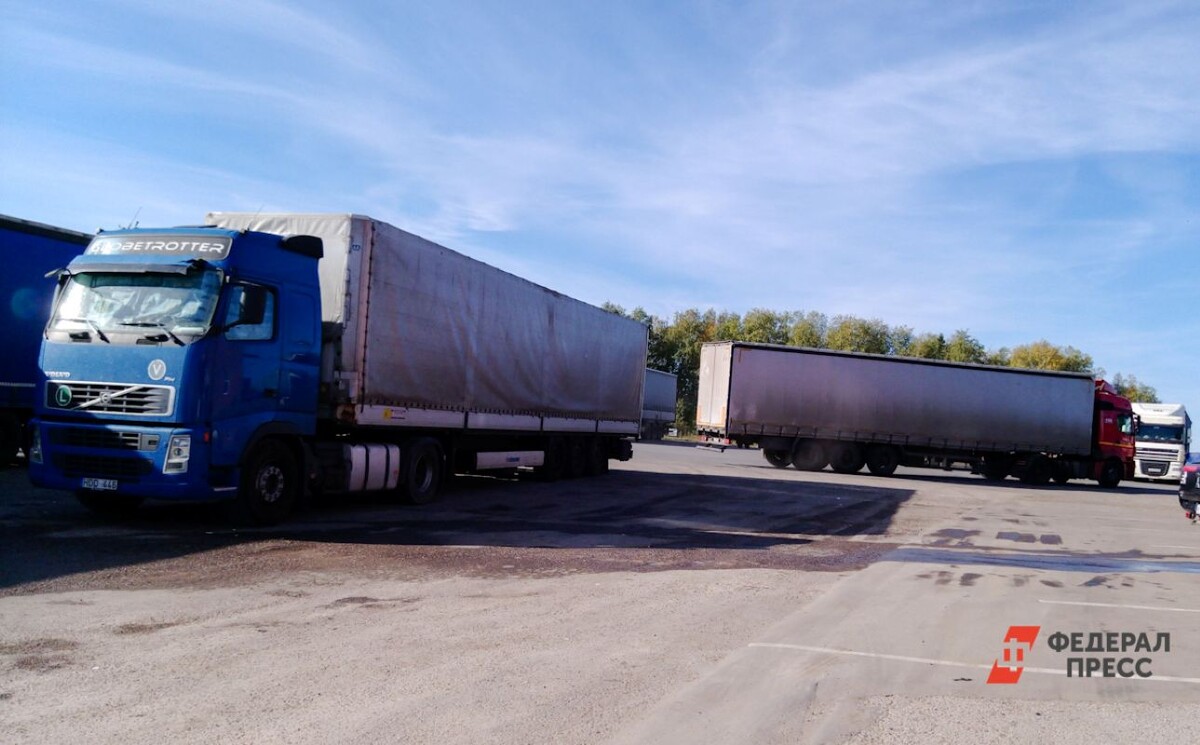В реестре будут регистрировать организации и ИП, работающие на рынке транспортно-экспедиционных услуг.  Фото: ФедералПресс / Елена Майорова