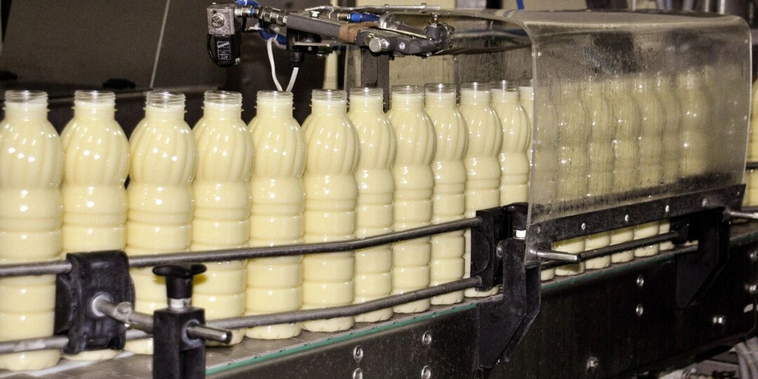 Тонны молока просто выливают: почему уральские фермеры оказались в тупике