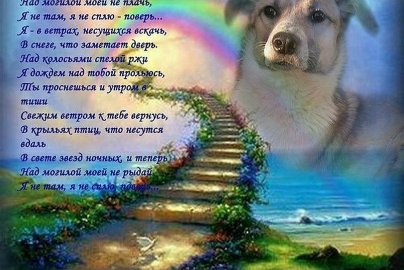 Нас покинул Дядя Федор 😭