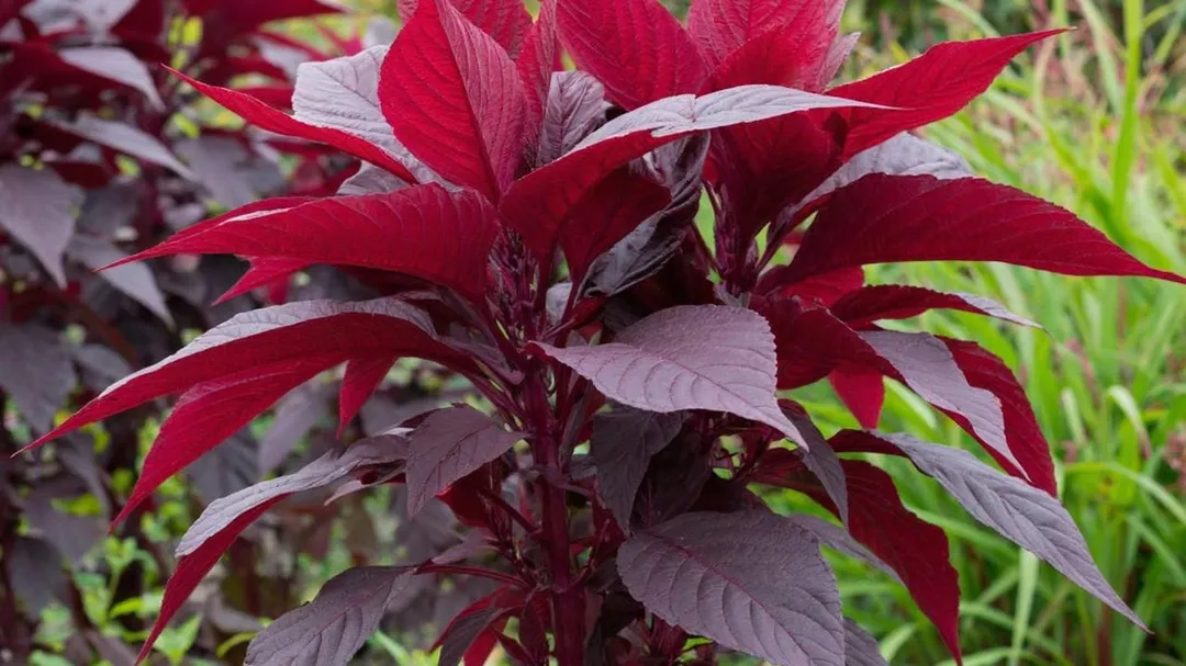 Фото: REGIONS/Сгенерировано нейросетью