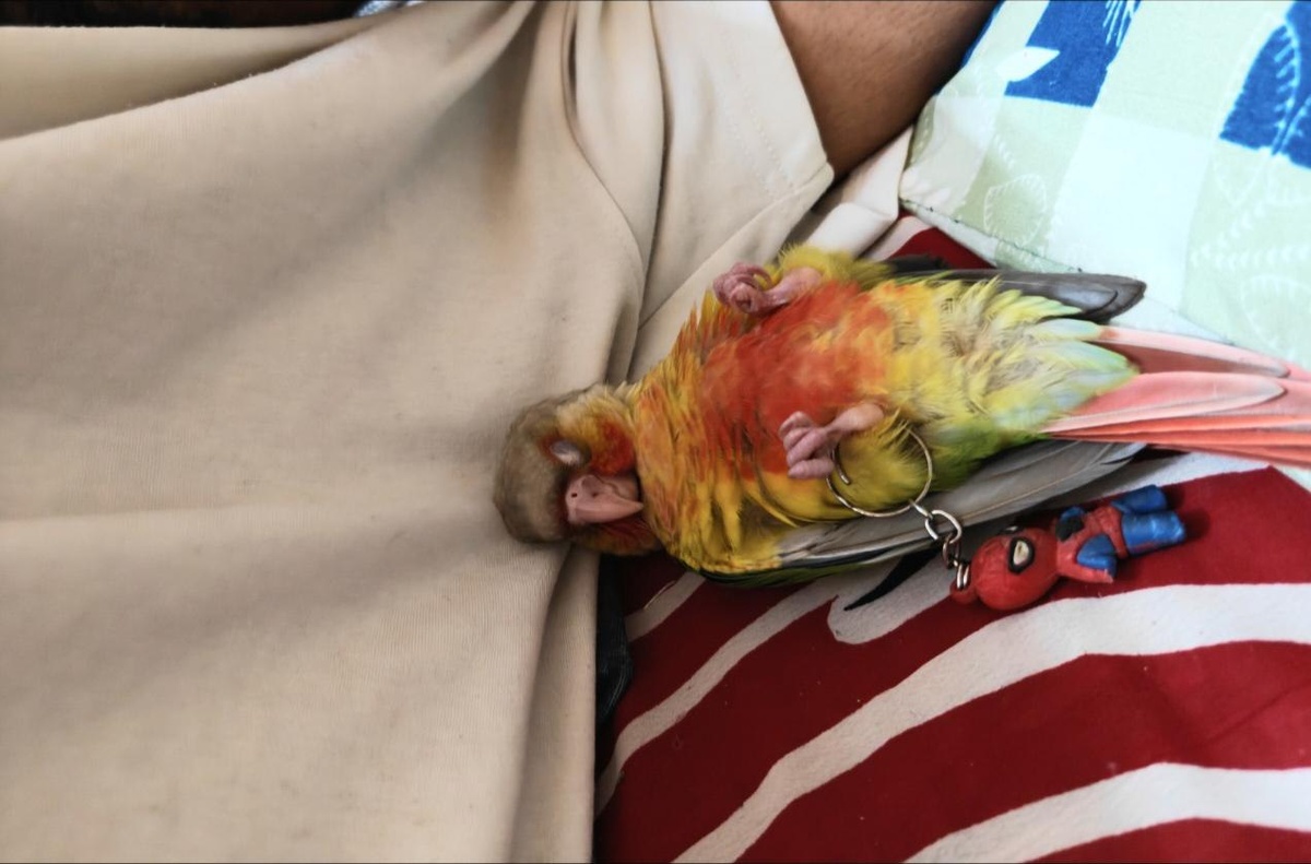 Источник: look_45 / https://bit.ly/4qWZthT 