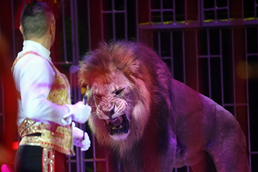    ©Агентство городских новостей "Москва"