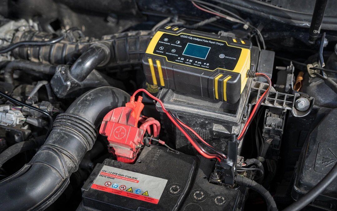 Фото: Lapis2380 / Shutterstock / FOTODOM